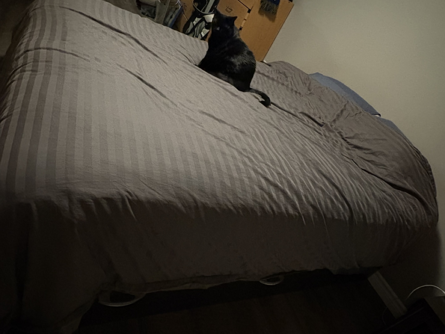 Queen-size Storage Bed Frame - photo 2
