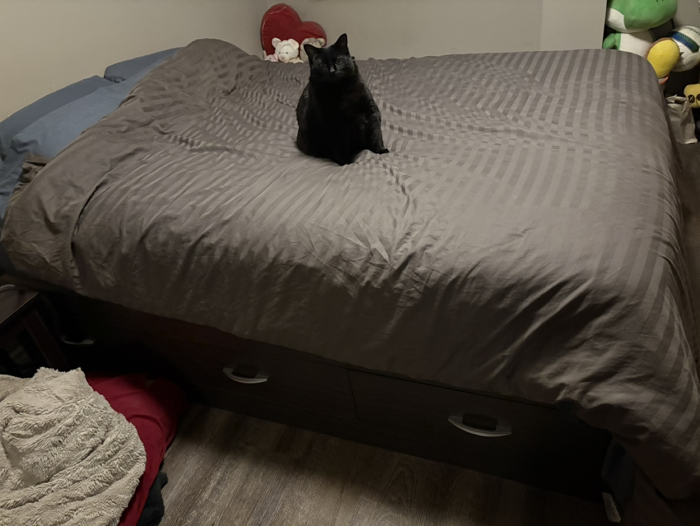 Queen-size Storage Bed Frame - photo 3