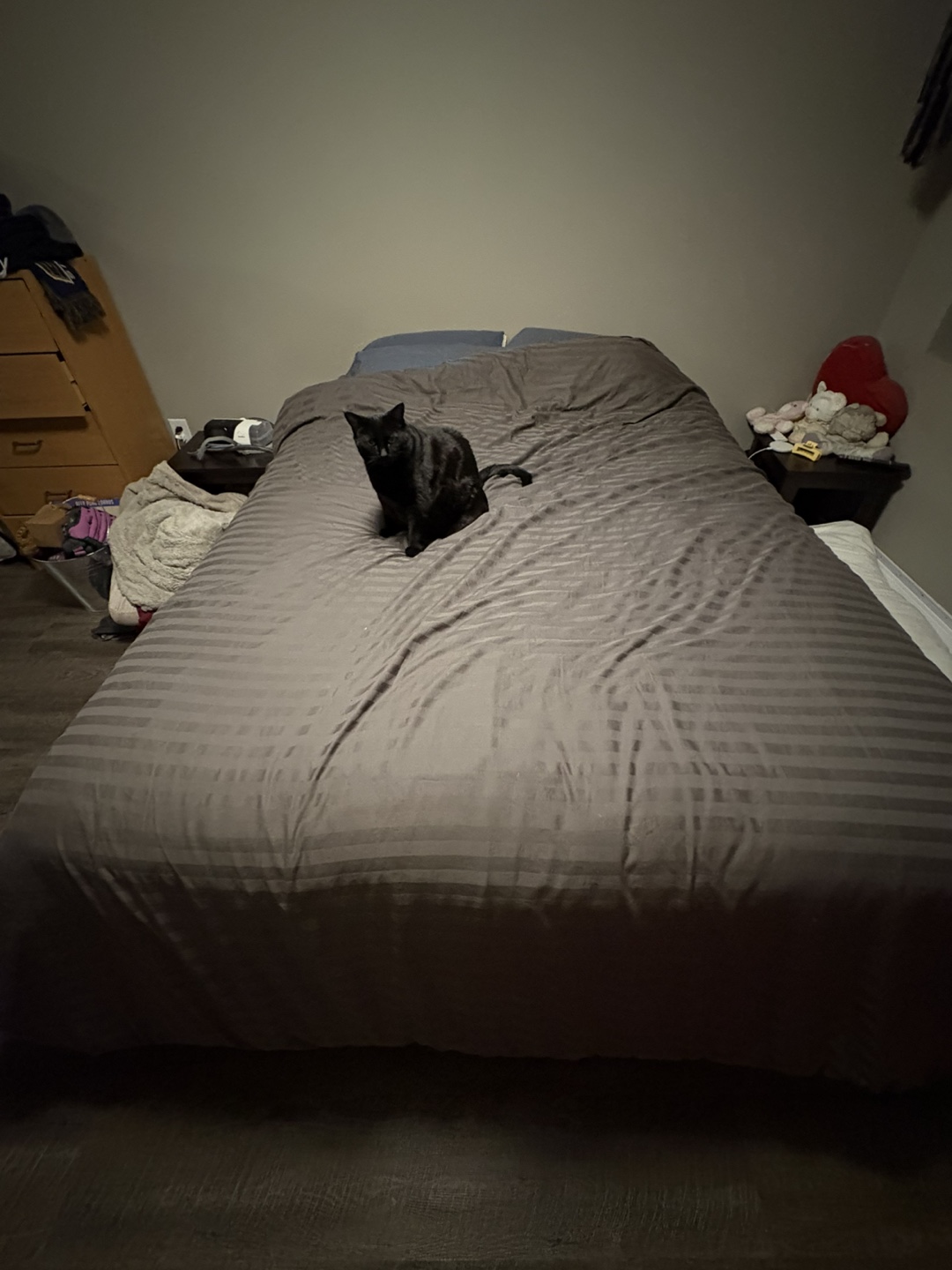 Queen-size Storage Bed Frame
