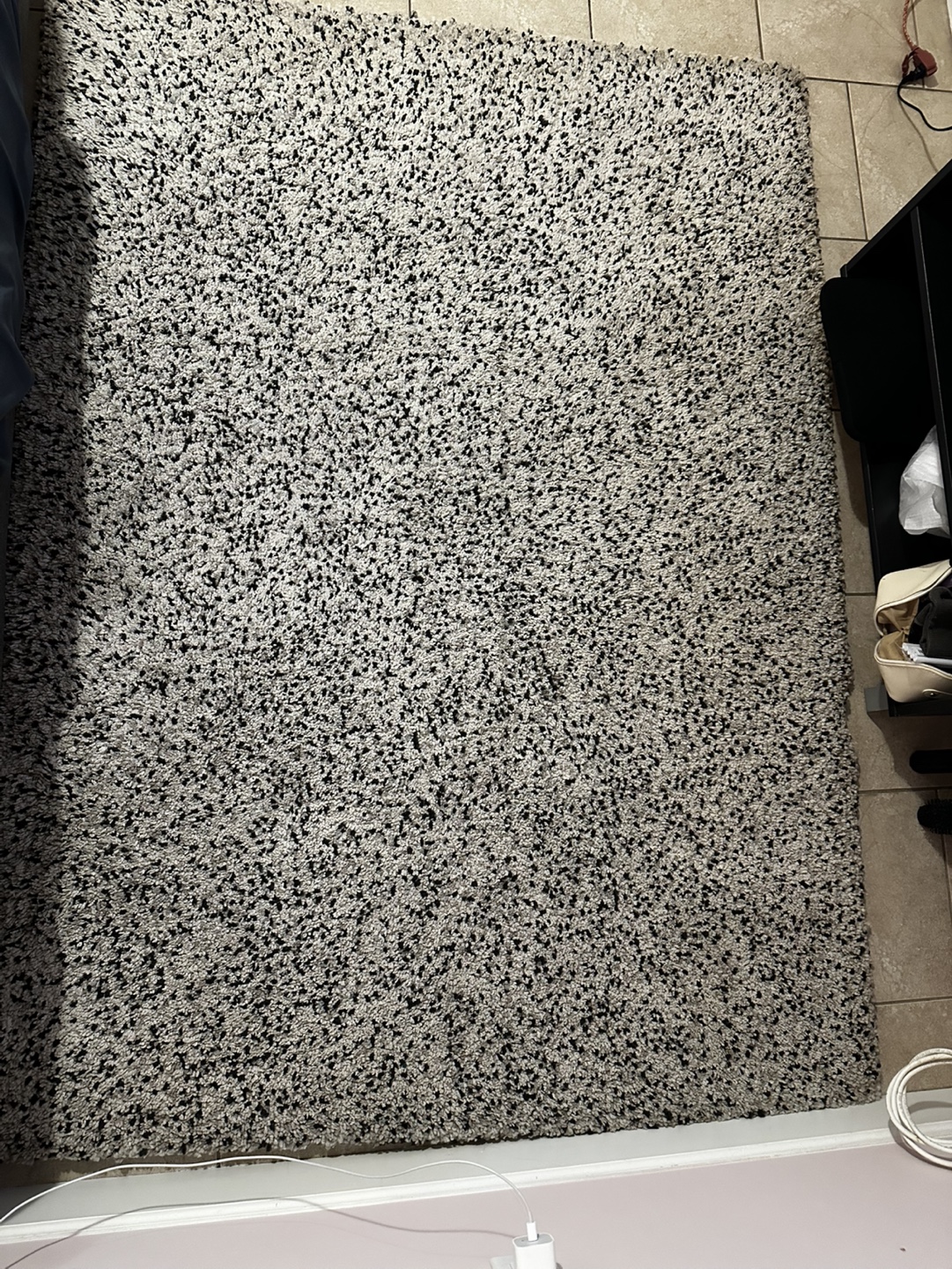 Large Shag Rug-Price Negotiable