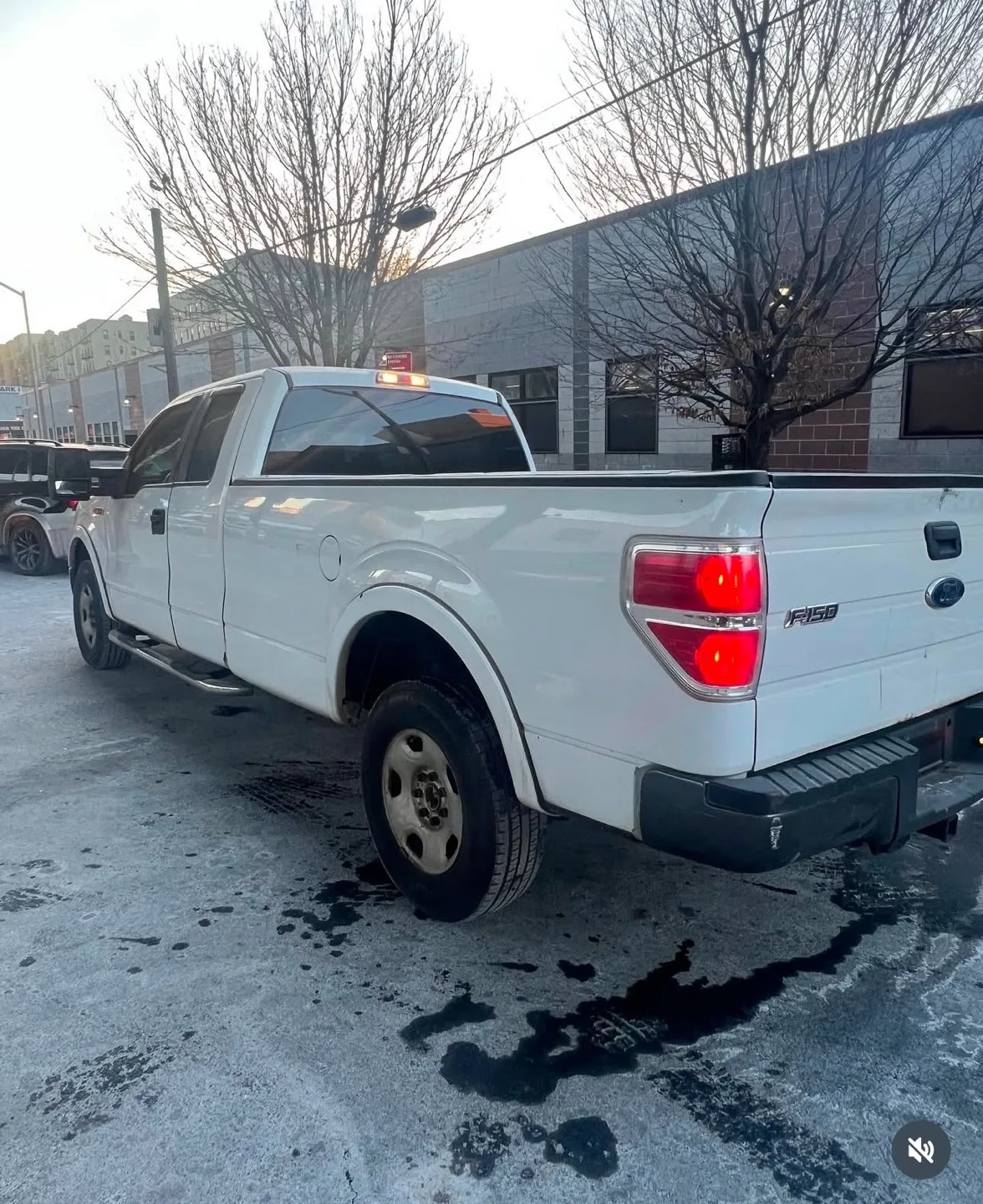 2010 Ford F-150 Regular Cab Pickup Truck image indicator(3)