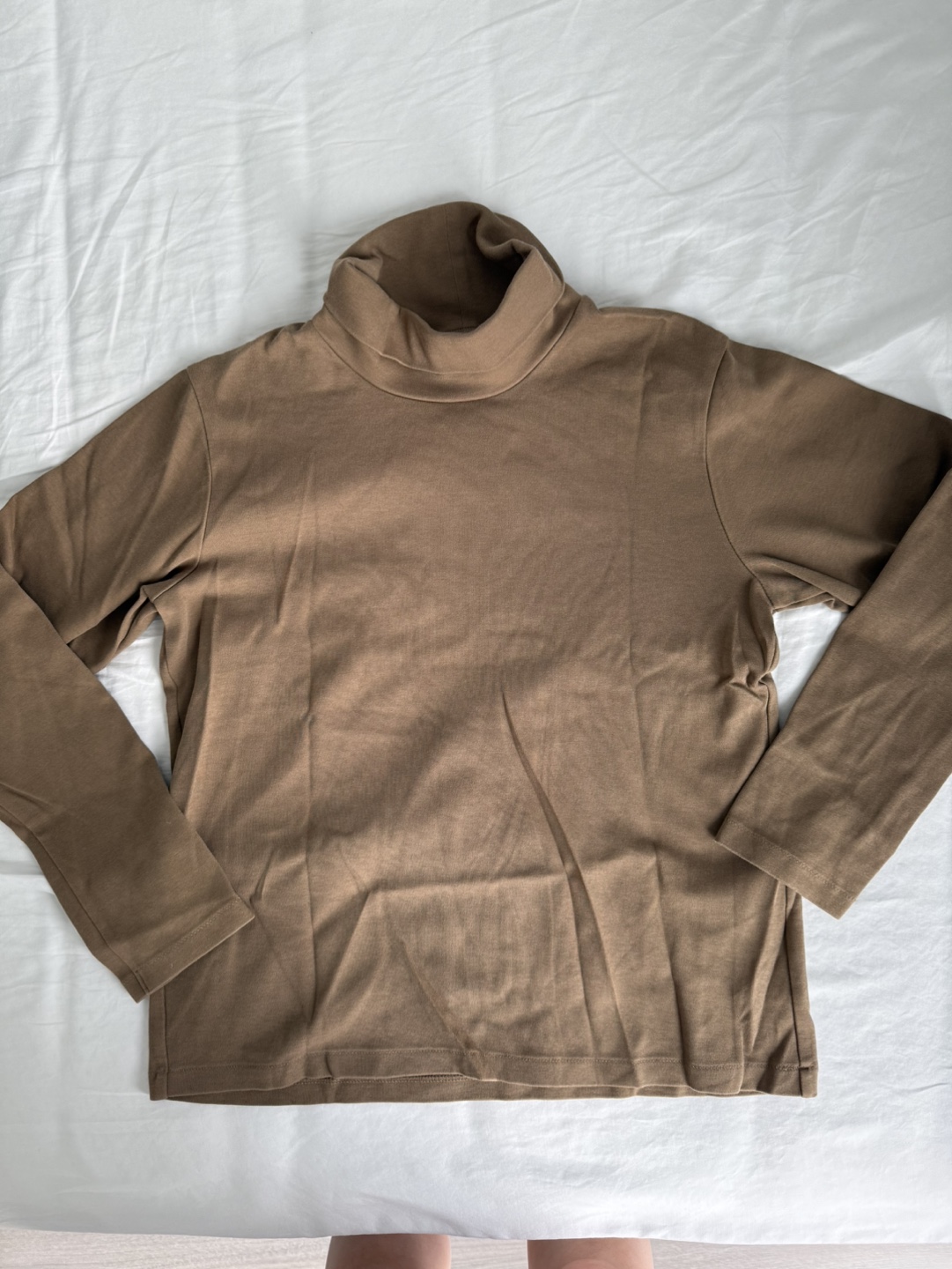 Women's Brown Long Sleeve Turtleneck Top