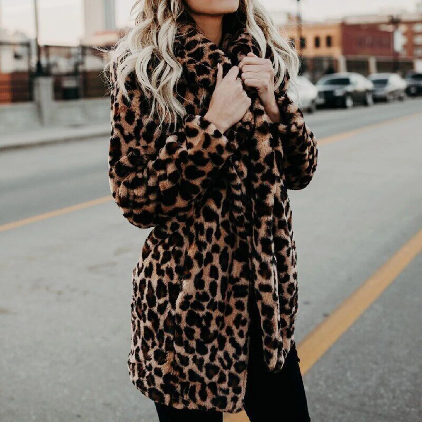 Leopard Print Faux Fur Coat image indicator(2)