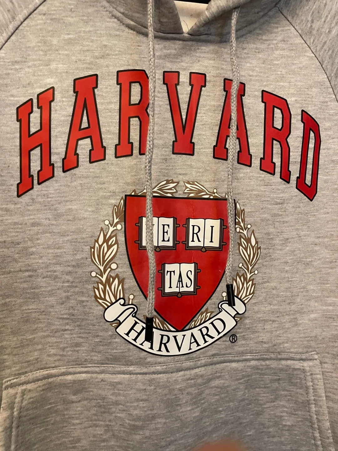 Harvard University Hoodie Sweatshirt Gray image indicator(3)