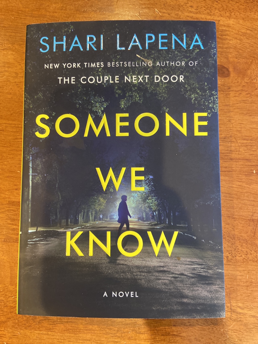 Someone We Know - Shari Lapena Novel