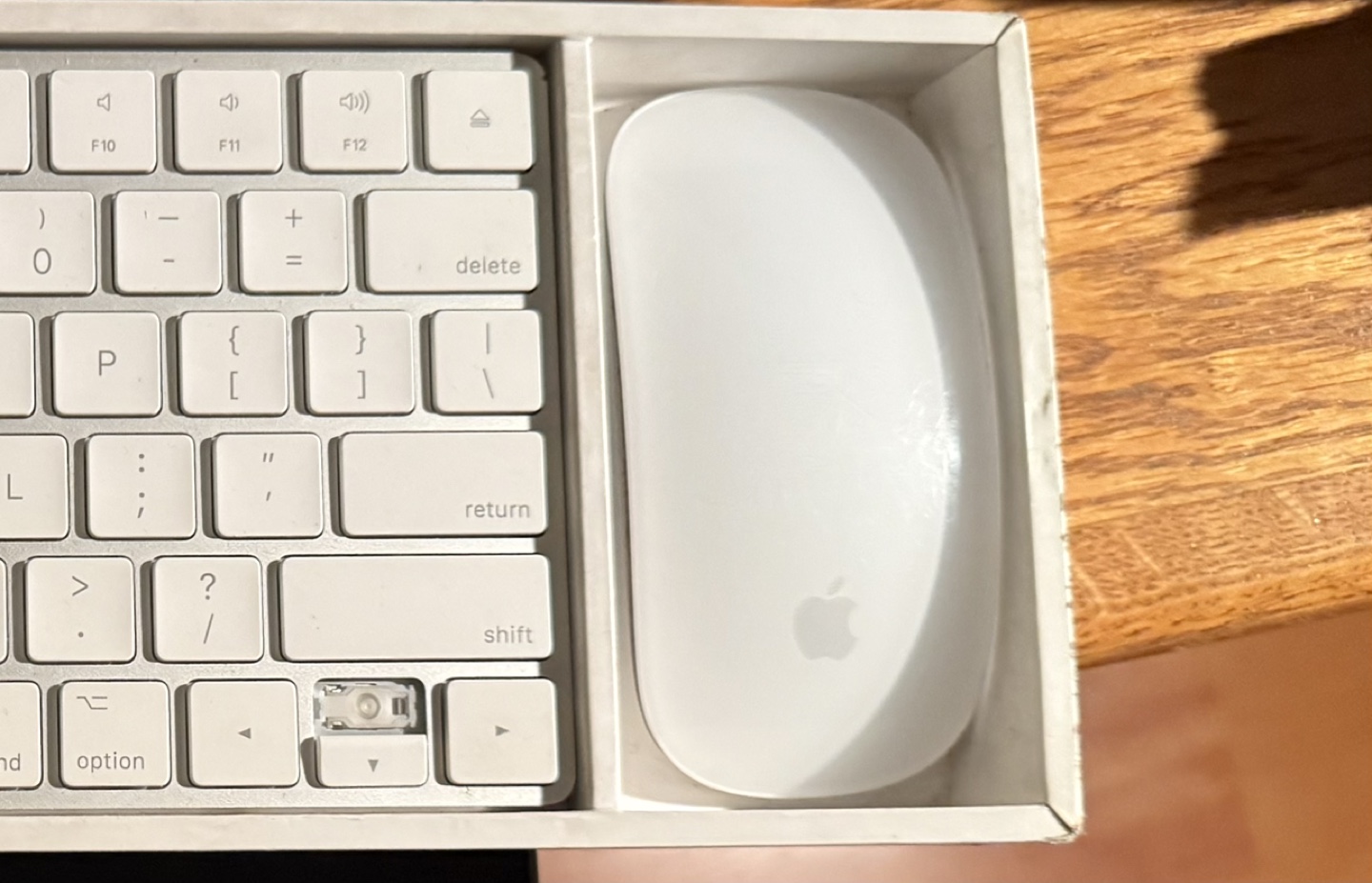 Magic Mouse 2