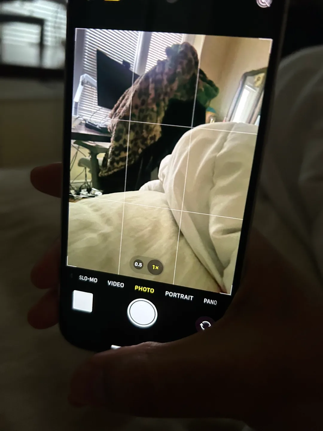 iPhone 12 image indicator(5)