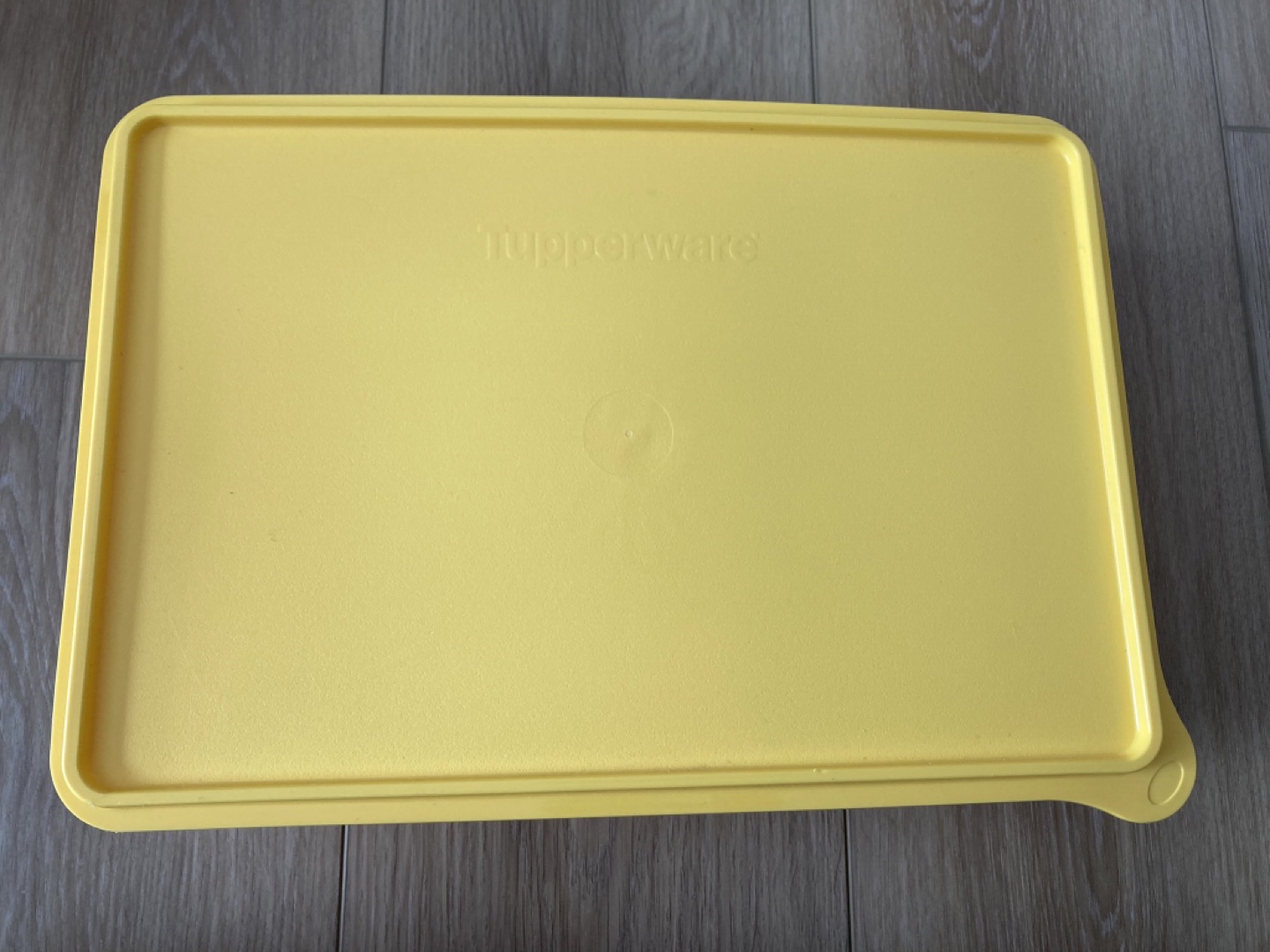 Tupperware Large Snack-Stor with Rare Egg Trays - $20