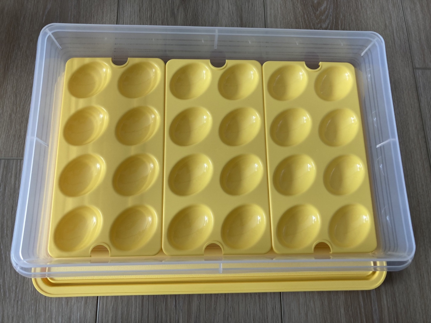 Tupperware Large Snack-Stor with Rare Egg Trays - $20 - photo 2