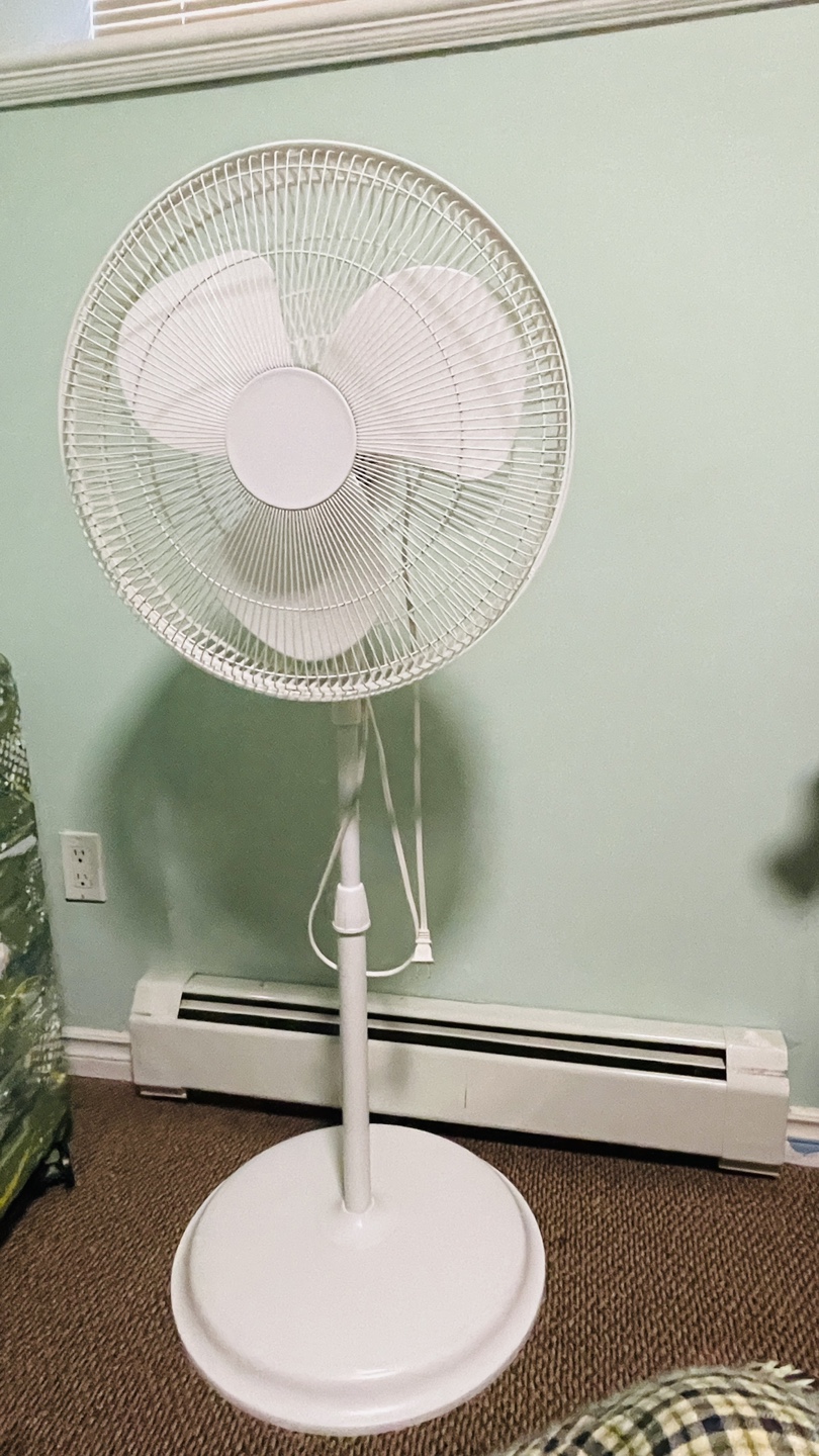 Two Fans for Sale - Honeywell Dual Fan & Standard Pedestal Fan - photo 2
