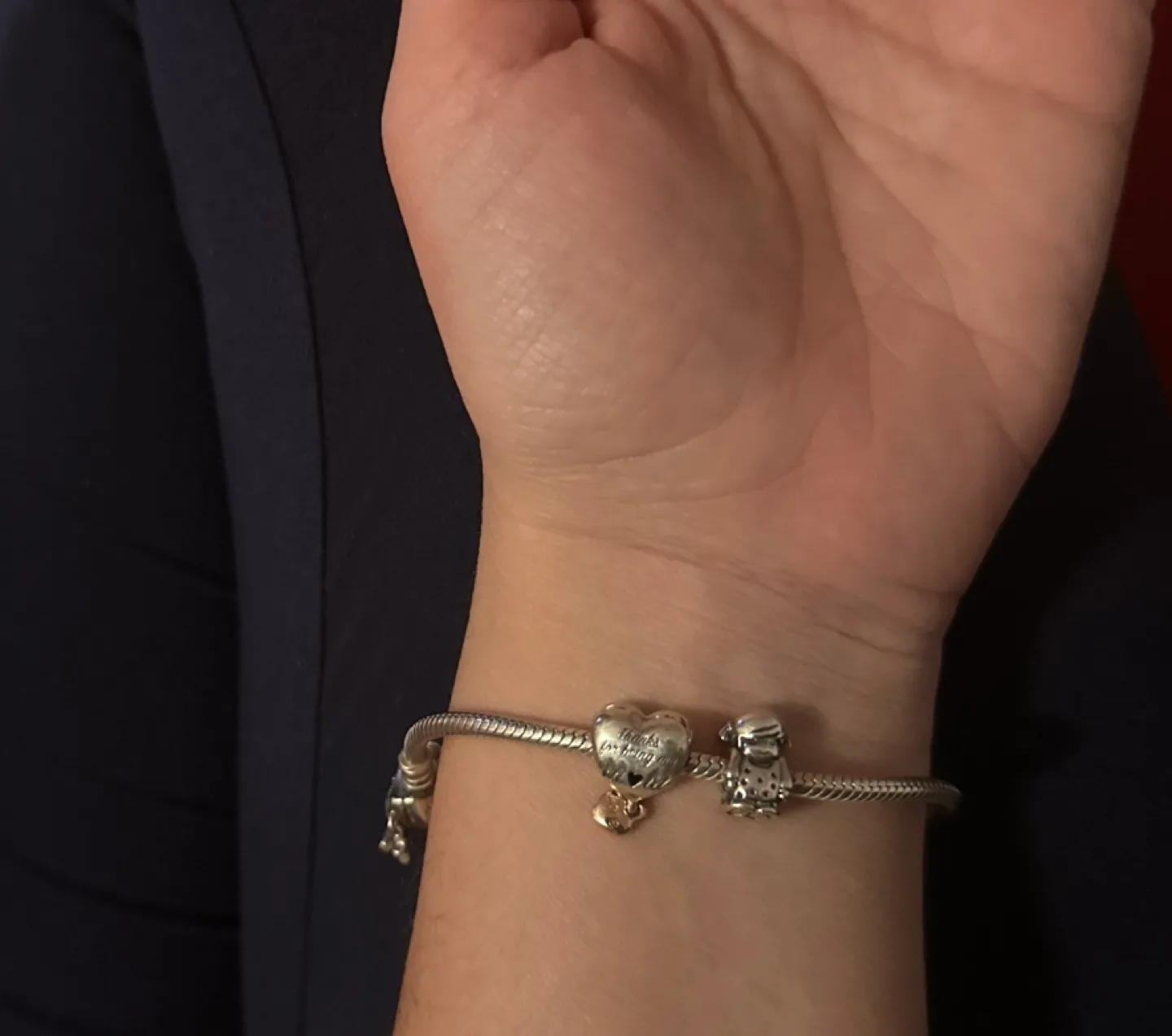 Pandora Bracelet with Charms image indicator(3)