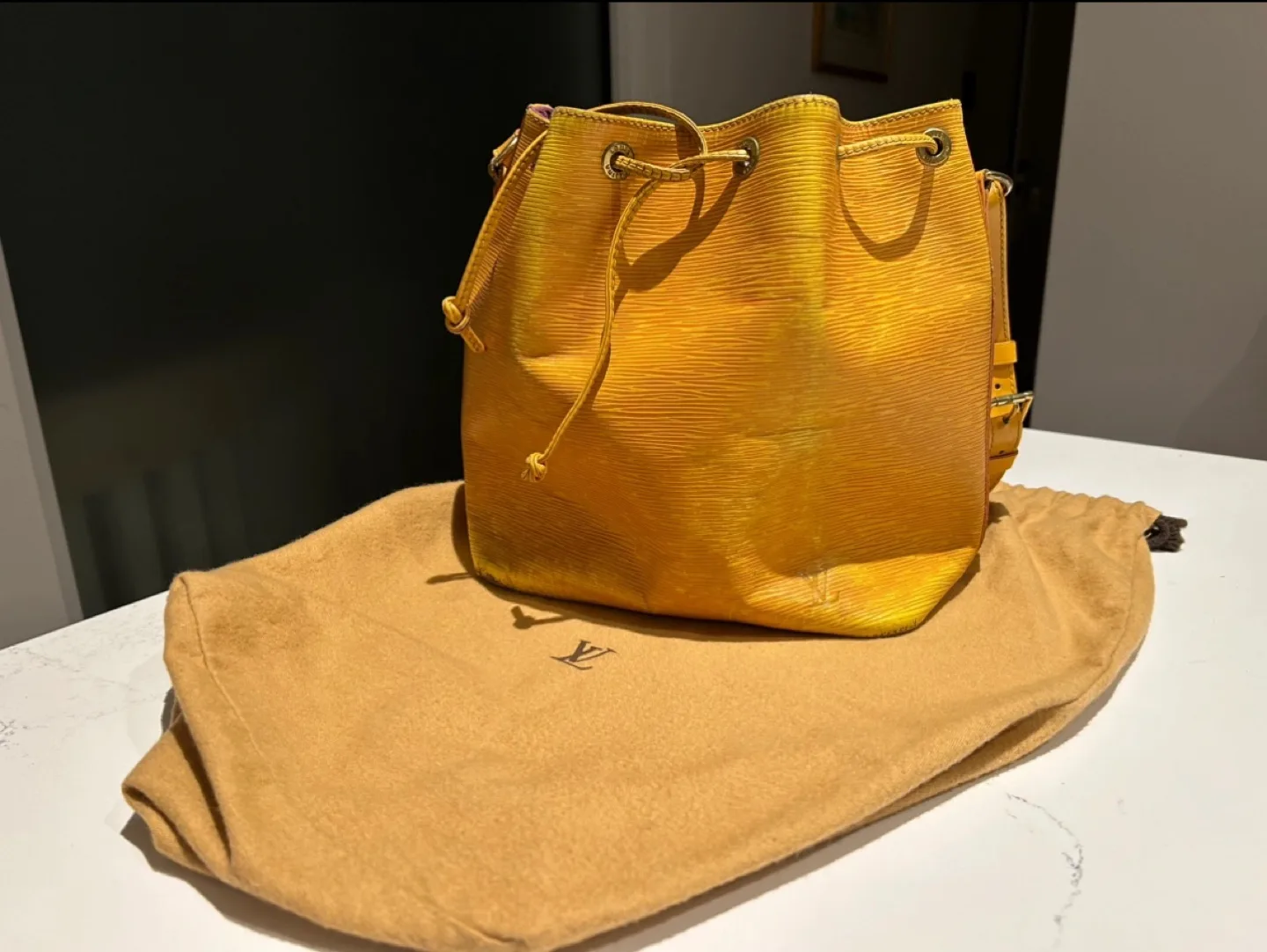 Louis Vuitton Epi Leather Bucket Bag image indicator(2)