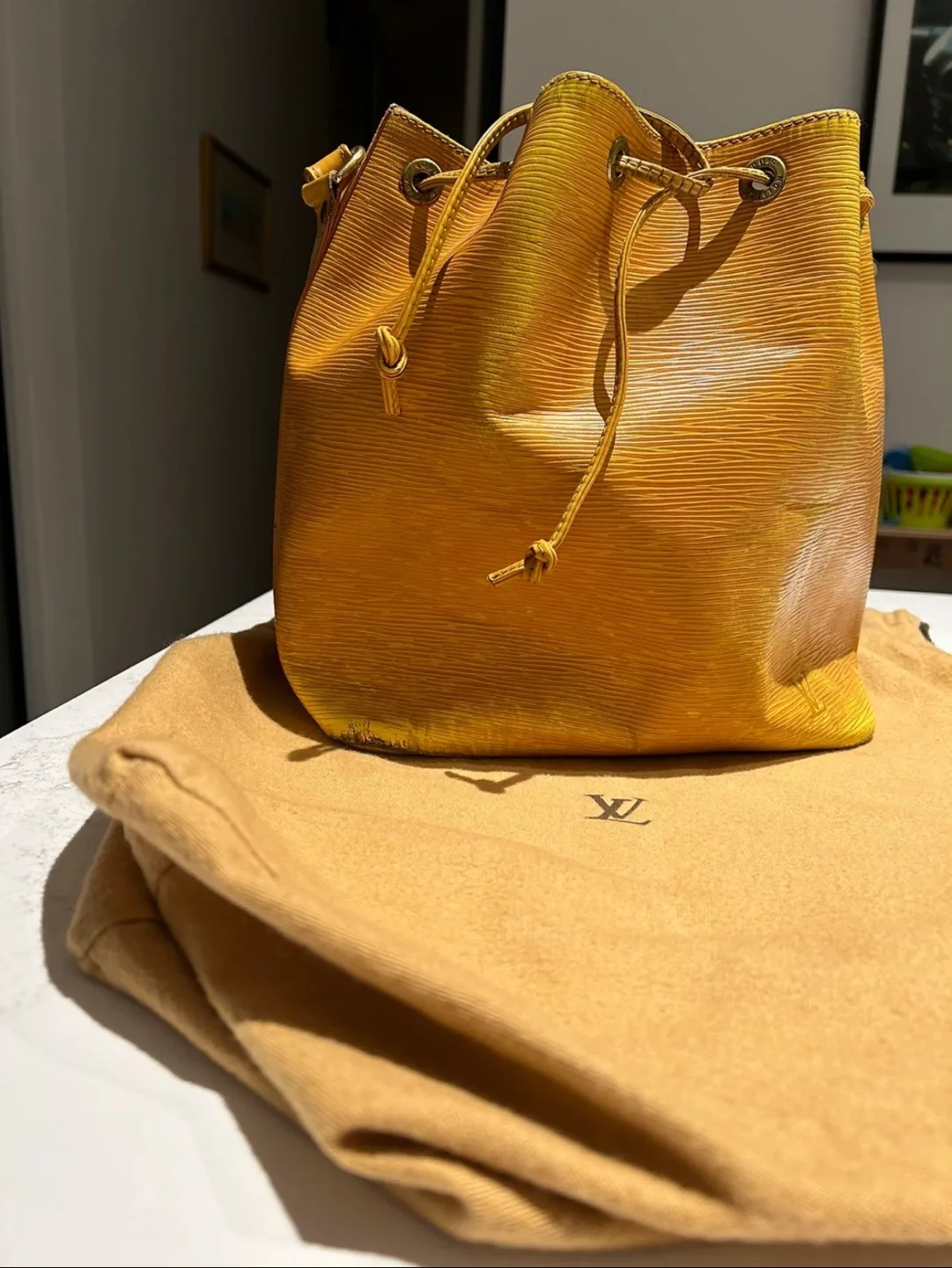 Louis Vuitton Epi Leather Bucket Bag image indicator(3)