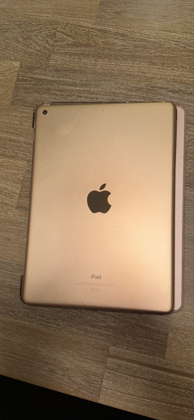 iPad 6 generation 32GB Rose Gold with Case - photo 3