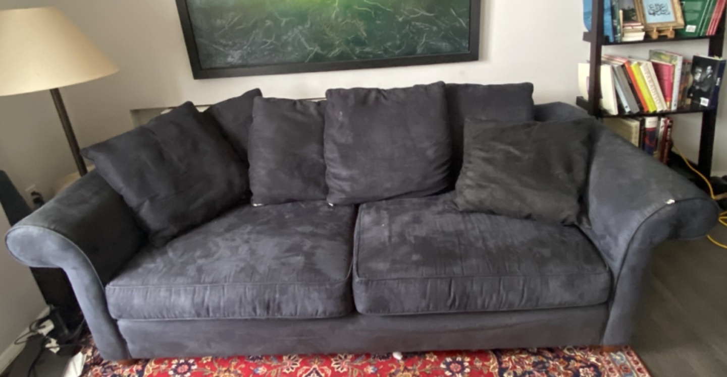 Living Room Couch FREE