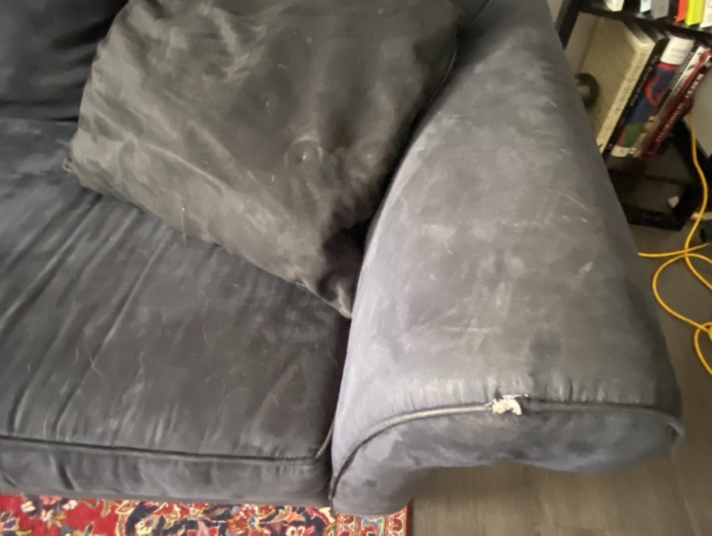 Living Room Couch FREE - photo 3