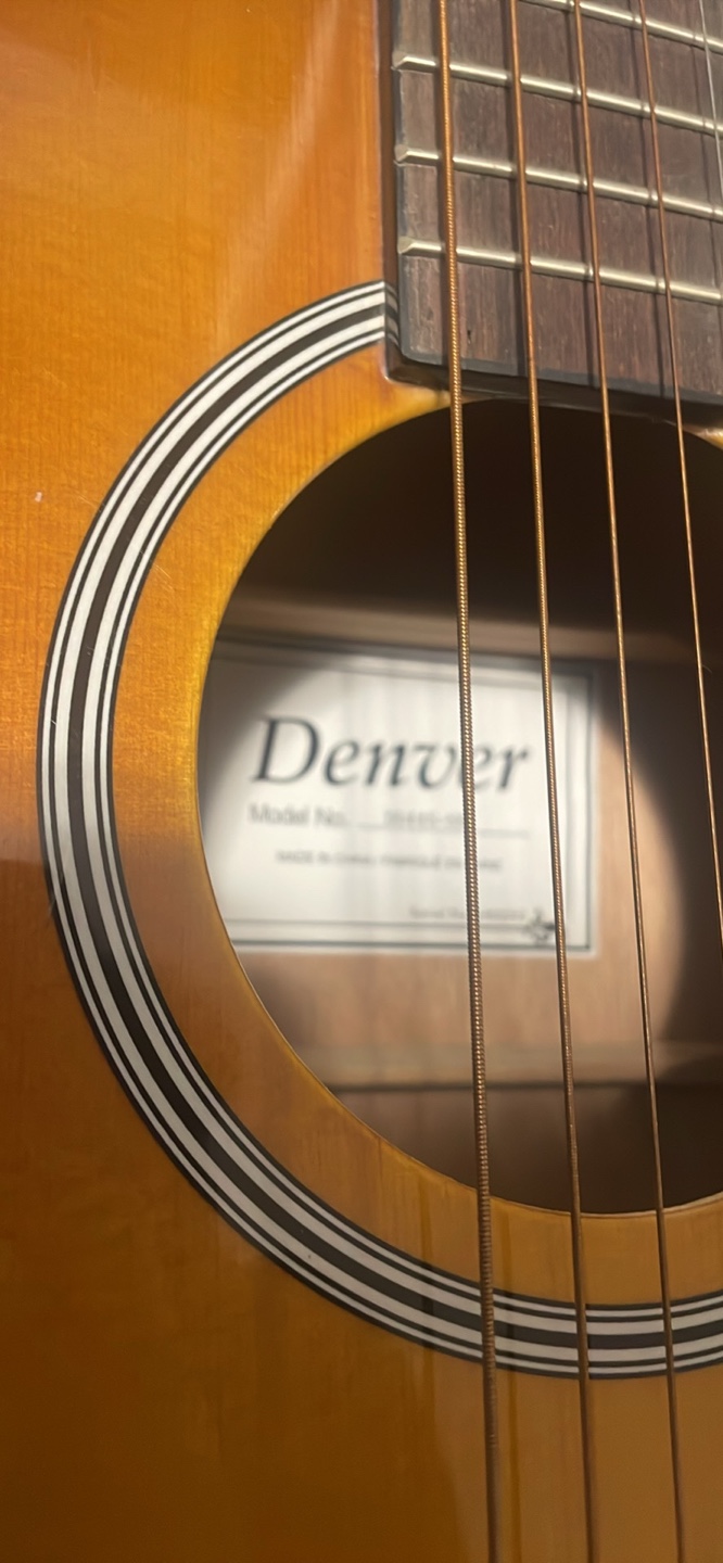 Denver Acoustic Guitar with Gig Bag - photo 2