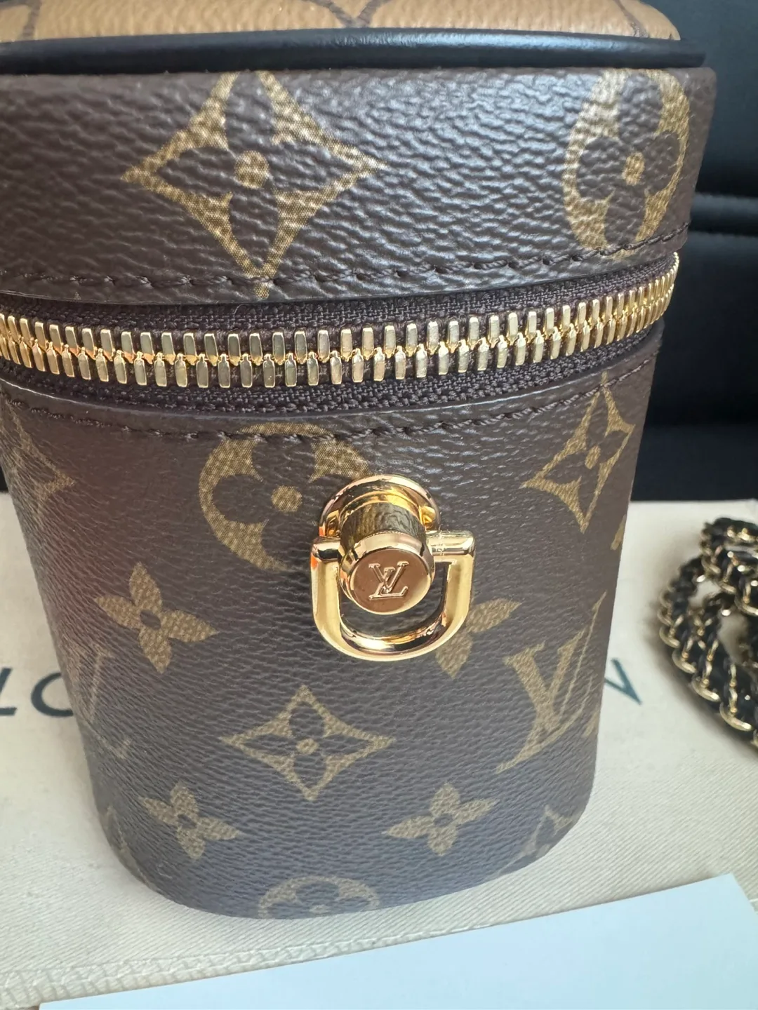Louis Vuitton Vanity PM Bag image indicator(7)