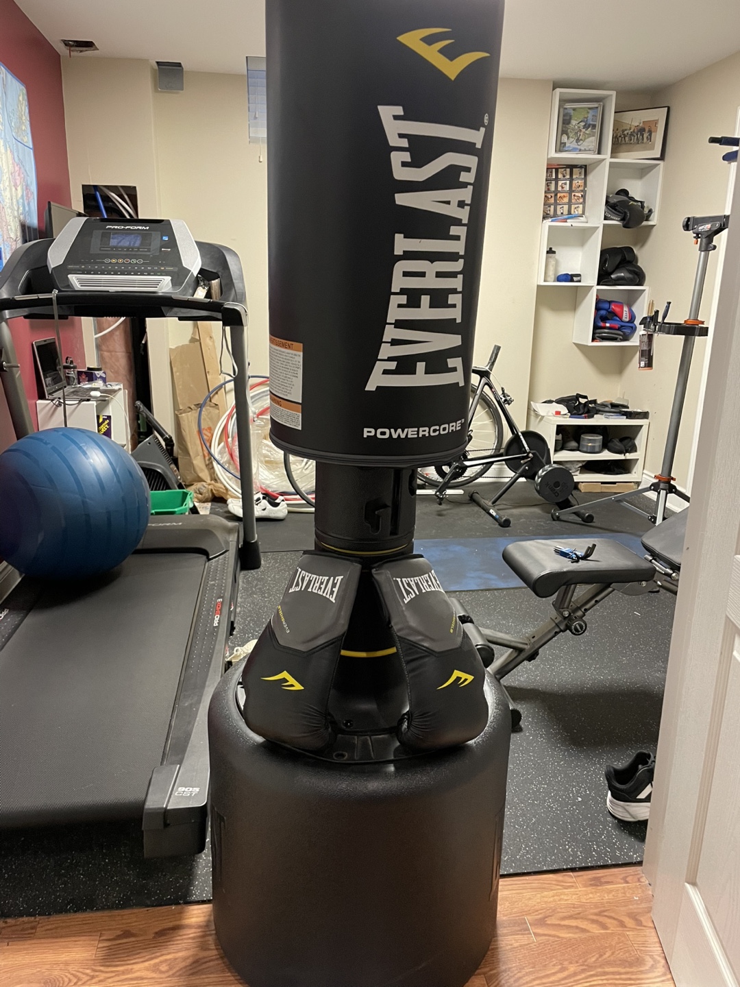 Everlast Powercore Freestanding Punching Bag