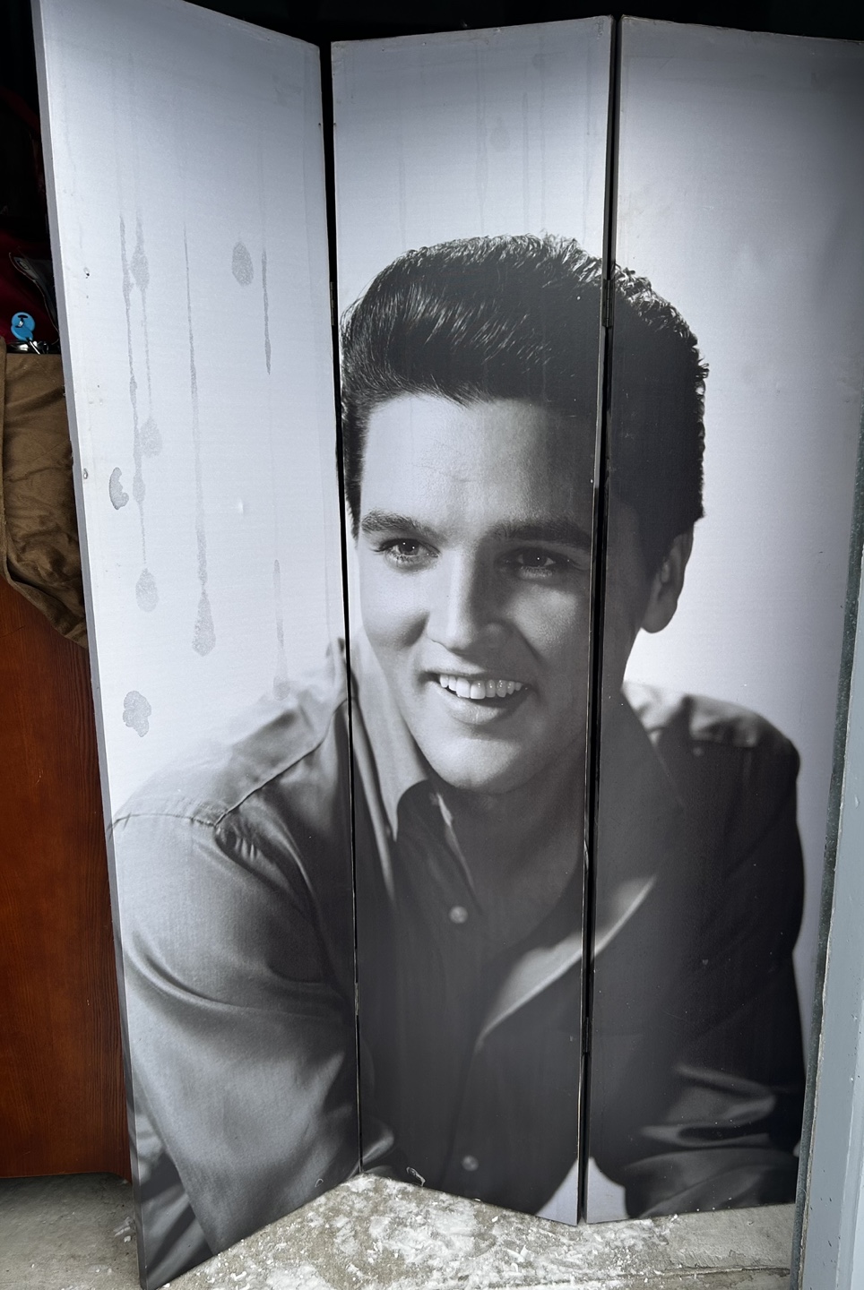 Elvis Presley double sided Room Divider - photo 2