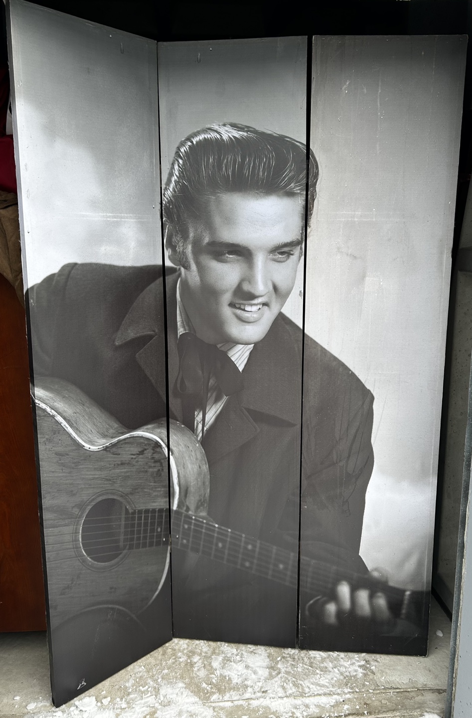 Elvis Presley double sided Room Divider