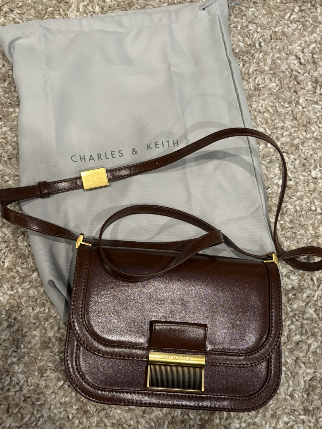 Charles & Keith Brown Leather Crossbody Bag