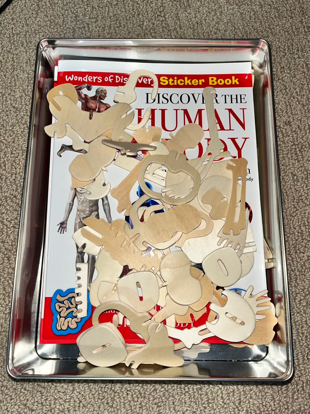 Human Body Educational Tin Set image indicator(2)