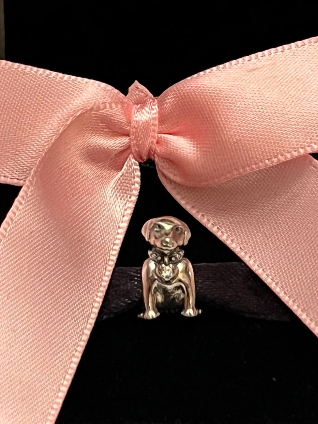 Pandora Dog Charm image indicator(2)