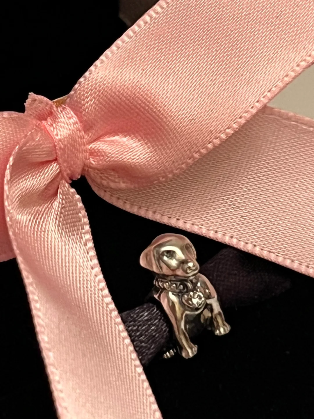 Pandora Dog Charm image indicator(3)