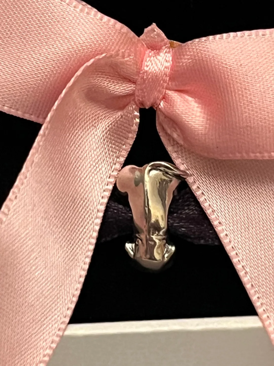 Pandora Dog Charm image indicator(3)