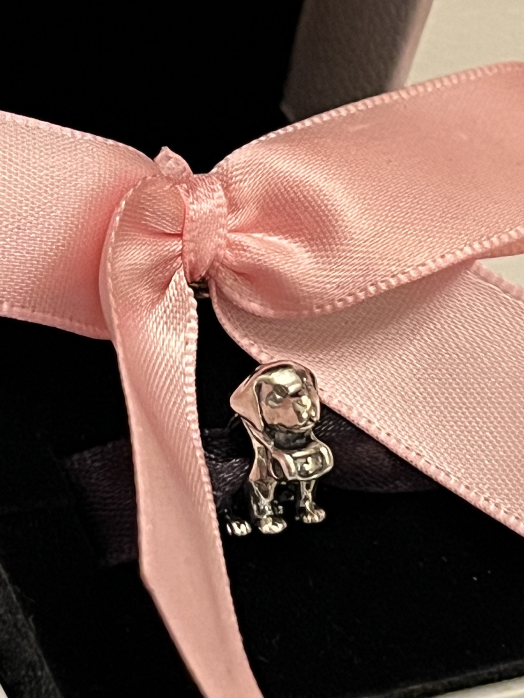 Pandora Dog Charm
