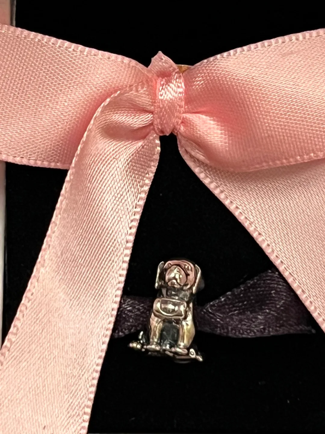 Pandora Dog Charm image indicator(4)