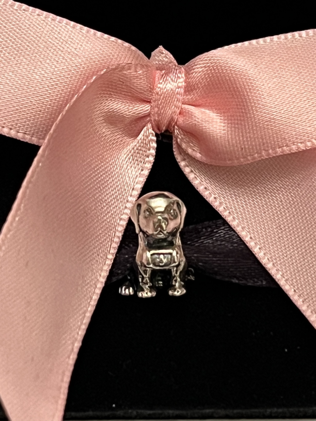Pandora Dog Charm - photo 5