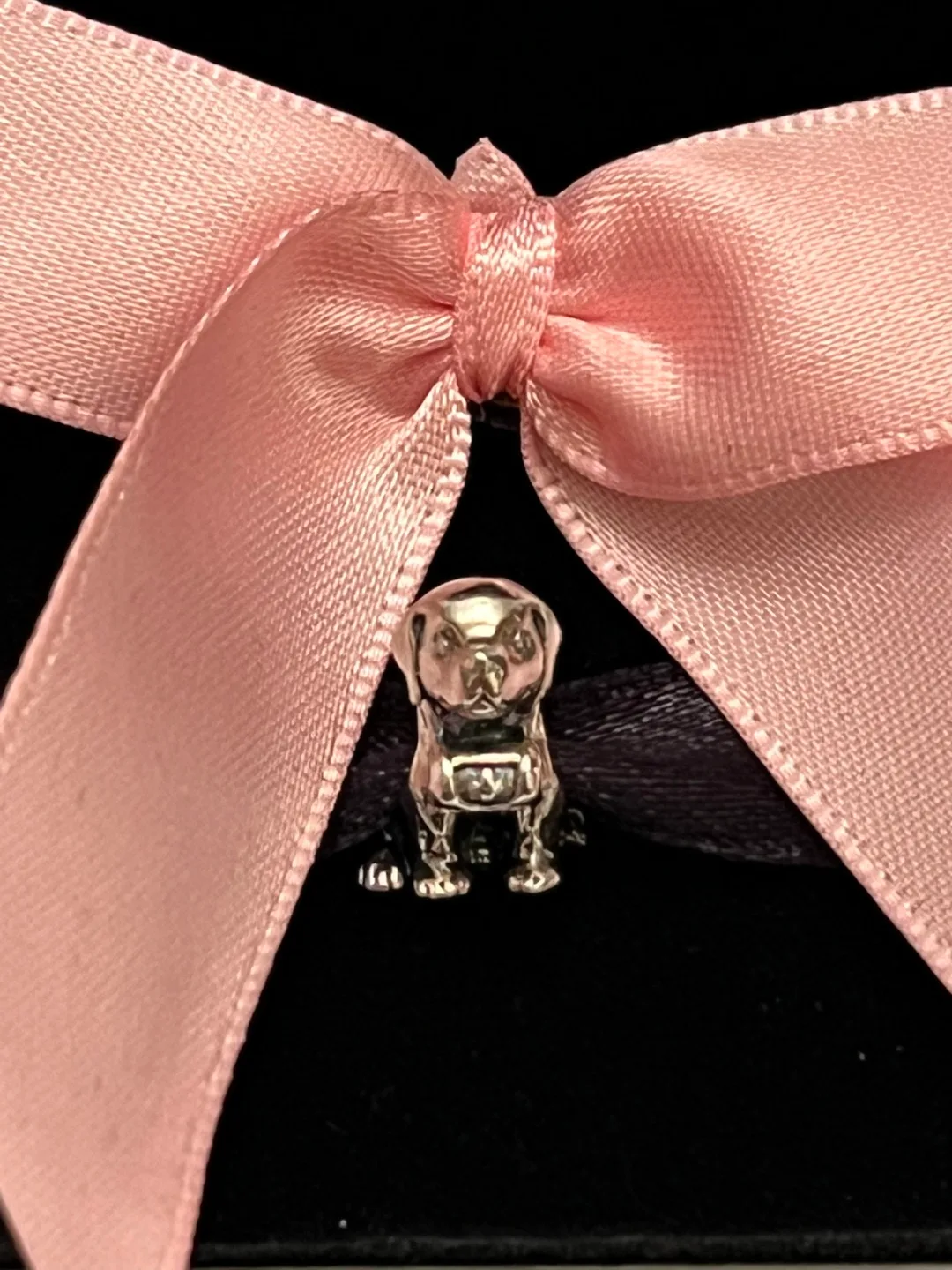 Pandora Dog Charm image indicator(5)