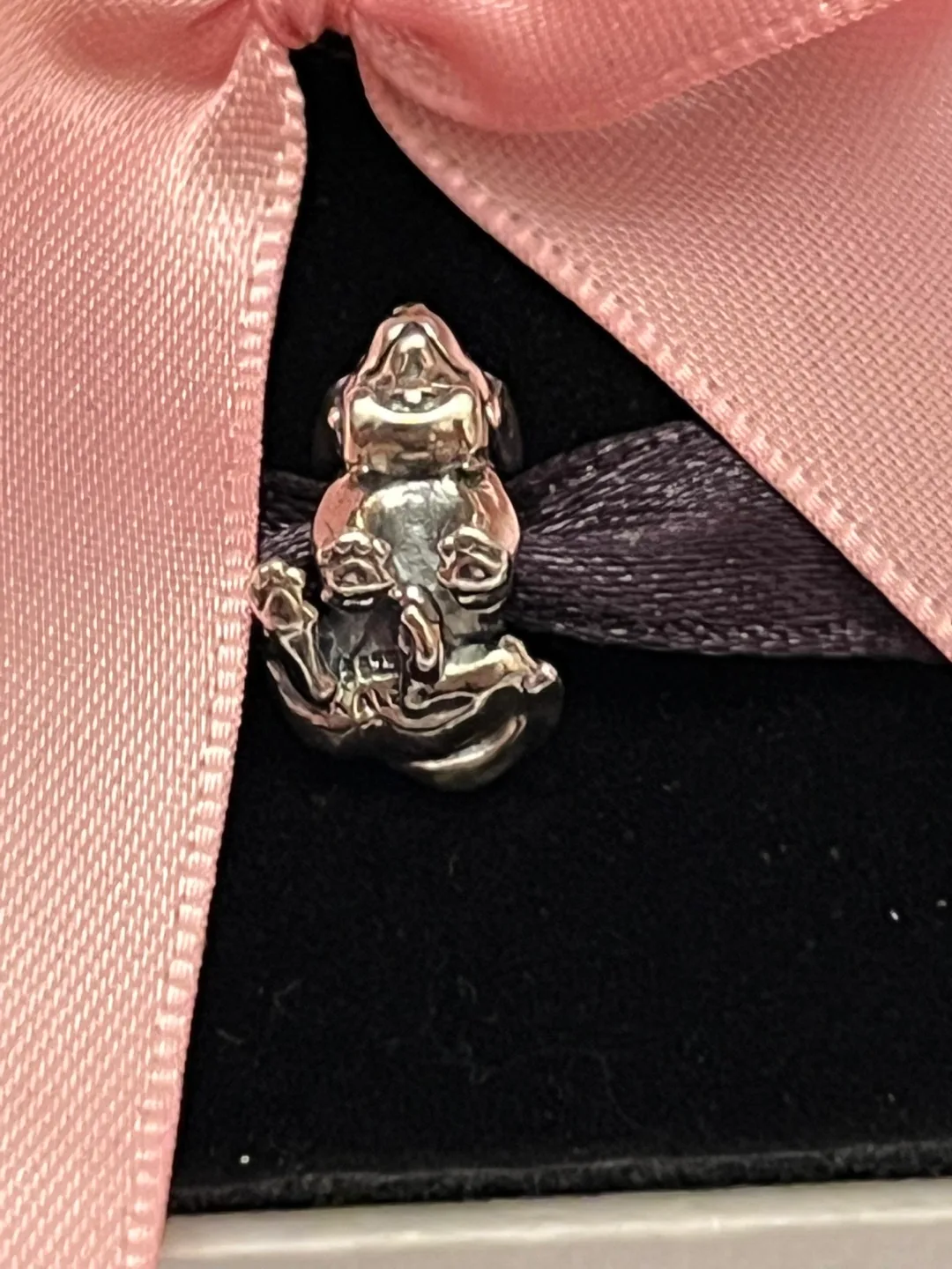 Pandora Dog Charm image indicator(2)