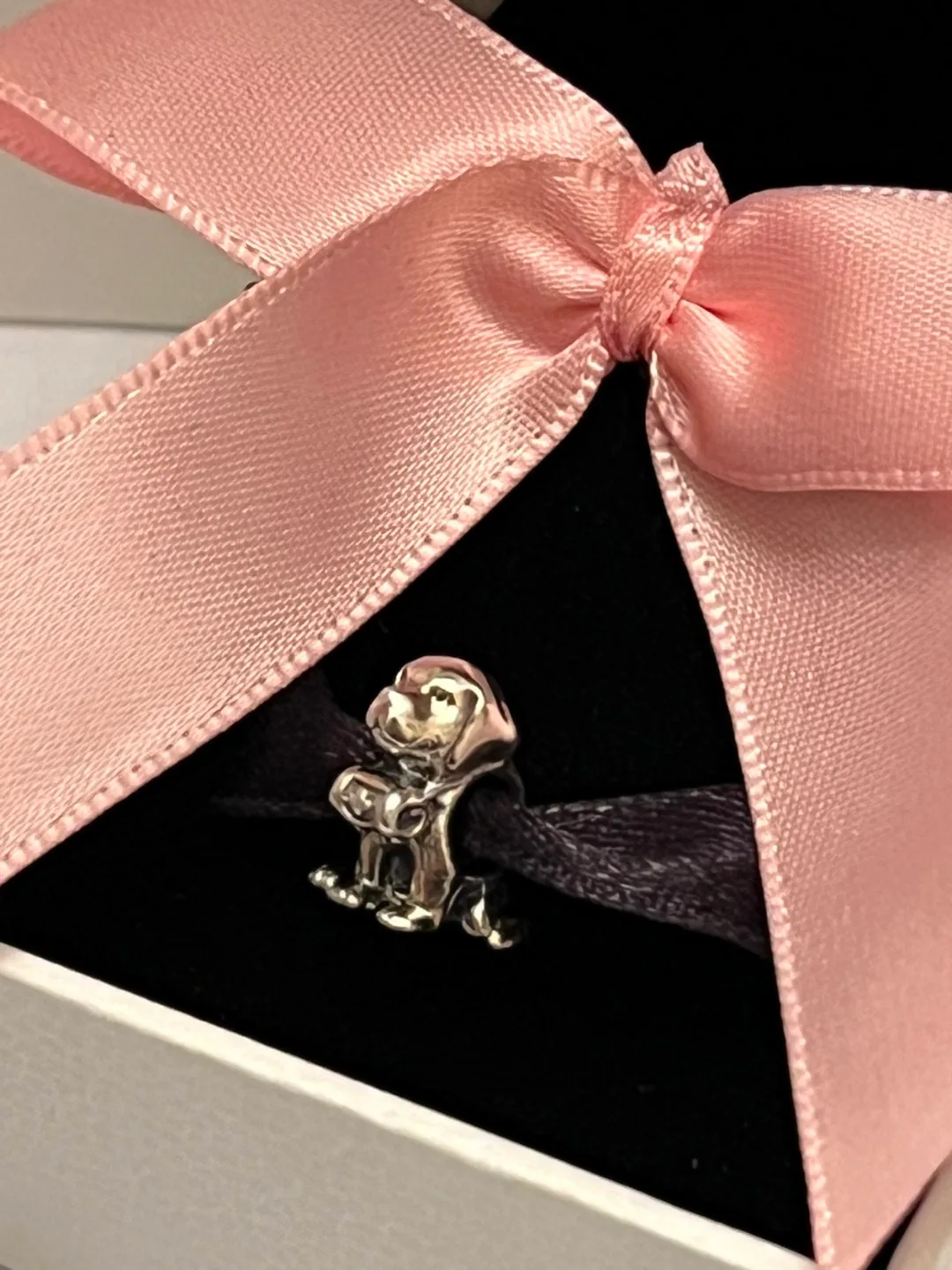 Pandora Dog Charm image indicator(6)