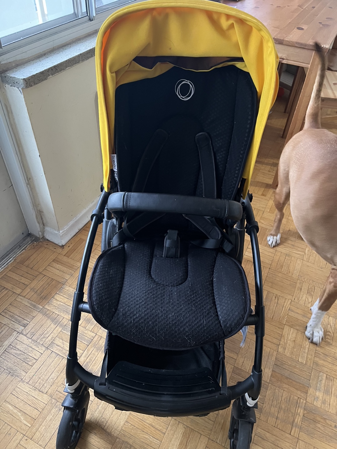 Bugaboo Bee 6 Stroller