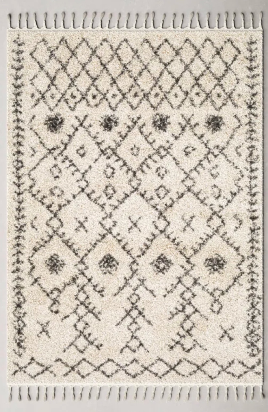 Cream and Gray Area Rug with Fringe