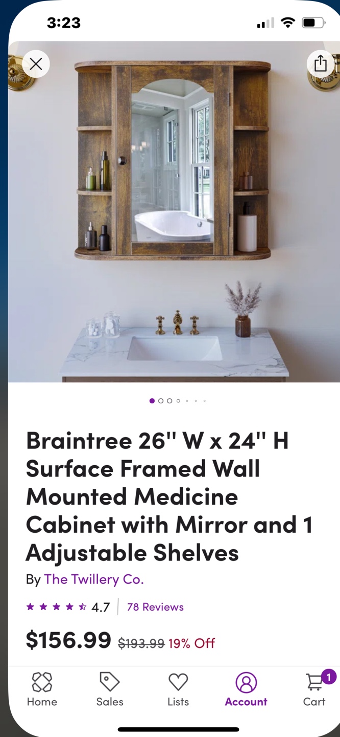 Braintree Wall Mounted Medicine Cabinet