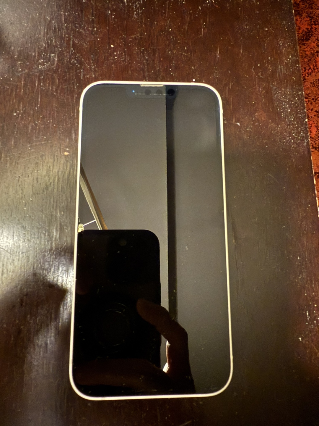 iPhone 13 - 256 GB (Unlocked)