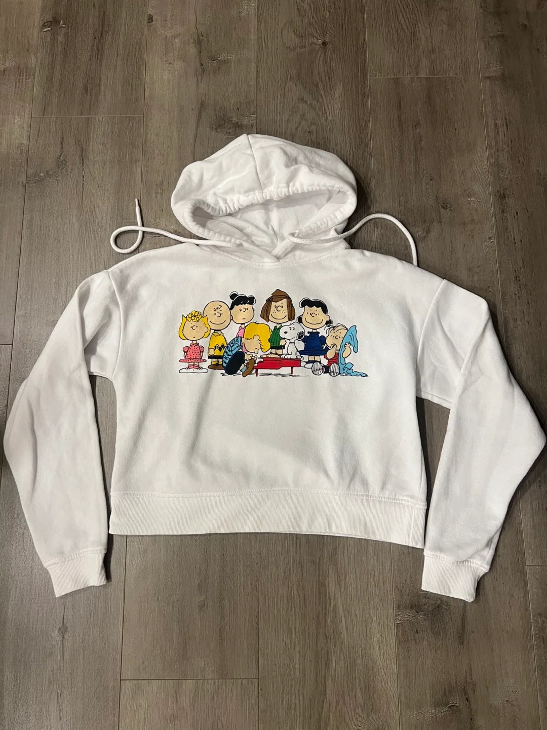 Peanuts Gang Cropped Hoodie - Size Small image indicator(2)