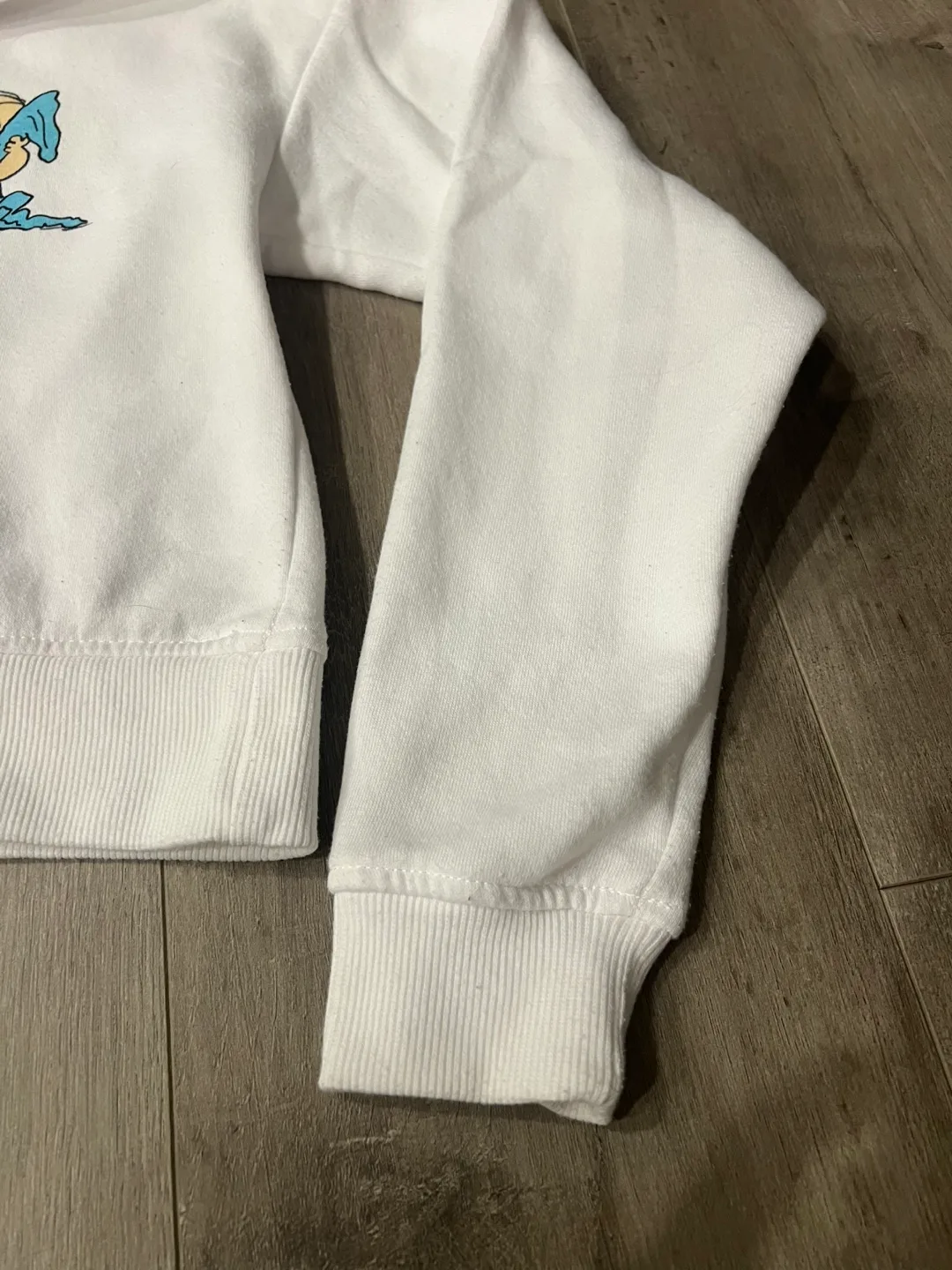 Peanuts Gang Cropped Hoodie - Size Small image indicator(4)