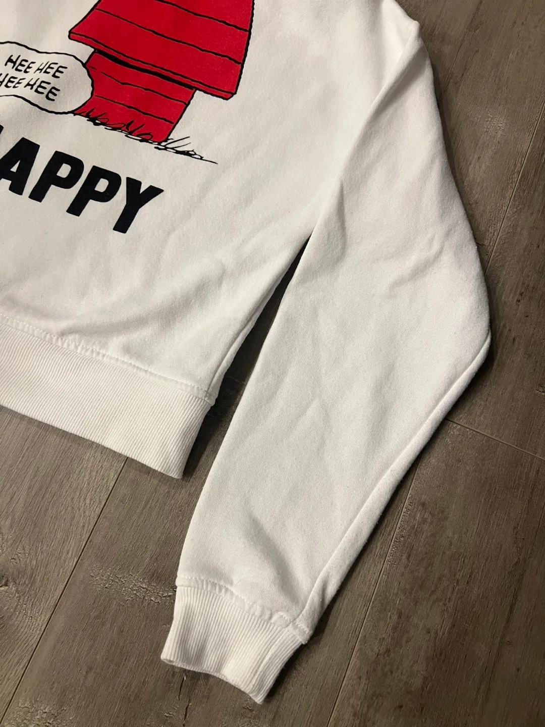 Peanuts Gang Cropped Hoodie - Size Small image indicator(9)