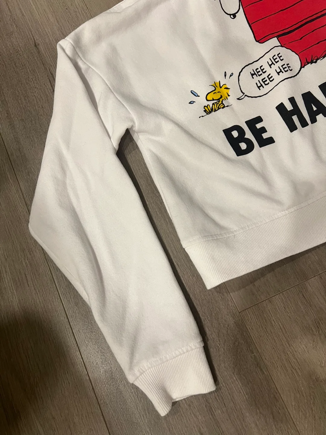 Peanuts Gang Cropped Hoodie - Size Small image indicator(10)