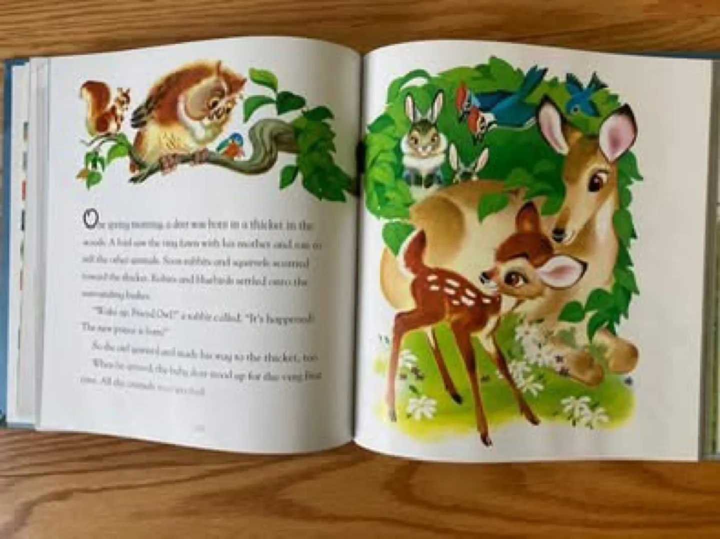 Walt Disney's Classic Storybook: A Treasury of Tales image indicator(3)