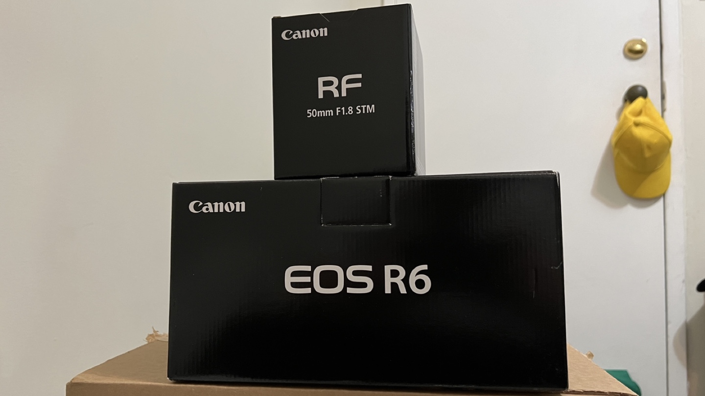 Canon R6 (like new)
