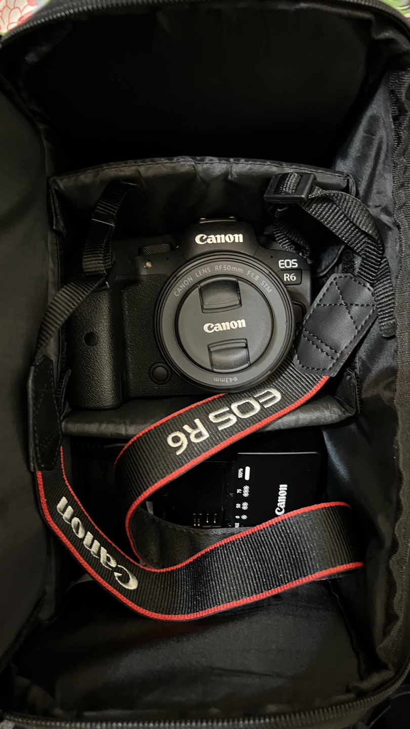 Canon R6 (like new) - photo 5