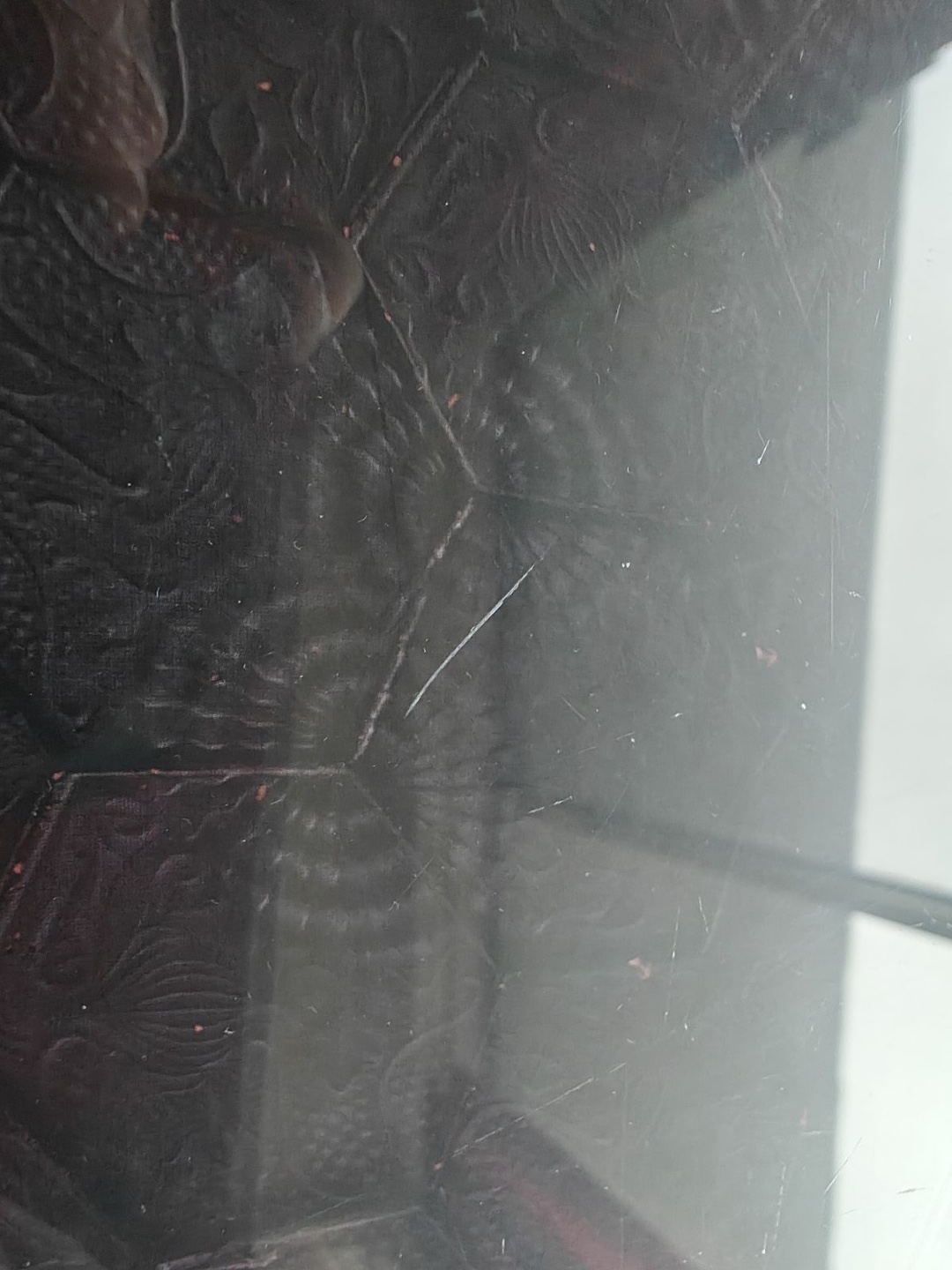 Glass Coffee Table - photo 4