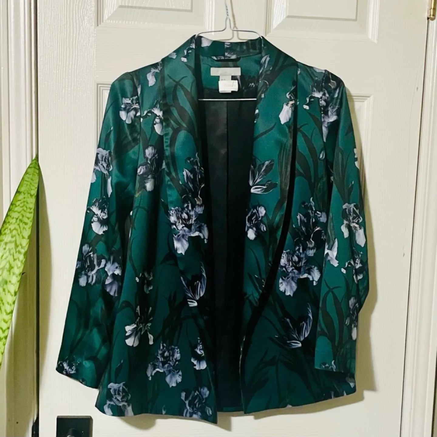 H&M Green Printed Pattern Jacket image indicator(2)