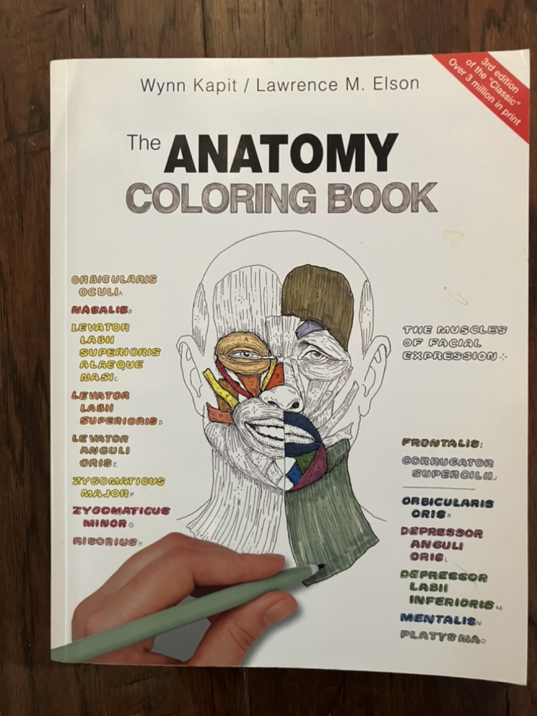 Anatomy Coloring Book - 3rd Edition